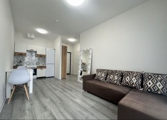 Сдается в аренду 1-комнатная квартира, 34 м2, посёлок Парголово, Михайловская дорога, 14к1