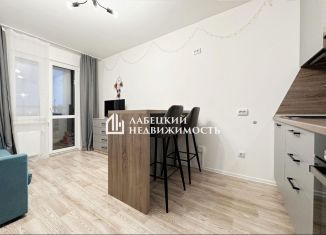 Квартира на продажу студия, 22.9 м2, Санкт-Петербург, набережная реки Каменки, 23, Приморский район