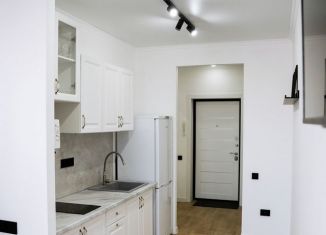 Сдам квартиру студию, 30 м2, Орёл, улица Нормандия-Неман, 78