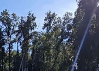 Продам помещение свободного назначения, 60 м2, Республика Алтай, улица Ленина, 129Б