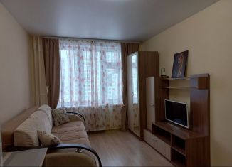 Сдам квартиру студию, 26 м2, Тюмень, улица Василия Подшибякина, 21, Калининский округ