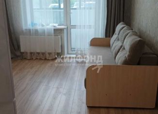 Сдача в аренду квартиры студии, 23 м2, Обь, Октябрьская улица, 3