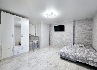 Продаю однокомнатную квартиру, 21 м2, Краснодар, улица Горького, 147, улица Горького