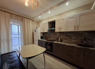 Сдается 1-комнатная квартира, 41 м2, Мытищи, улица Колпакова, 41, ЖК Декарт