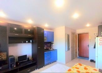 Продаю 1-комнатную квартиру, 18.5 м2, Димитровград, улица М. Тореза, 3