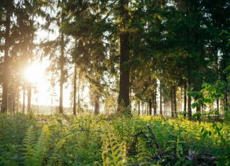 Продаю земельный участок, 7.3 сот., деревня Новая