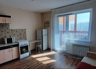 Сдаю квартиру студию, 30 м2, Челябинск, улица Братьев Кашириных, 131Б