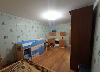 Сдаю в аренду квартиру студию, 27 м2, Ленинградская область, Взлётная улица, 12к8