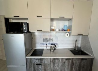 Продаю квартиру студию, 25 м2, Санкт-Петербург, муниципальный округ Коломяги, Верхне-Каменская улица, 5
