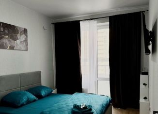 Сдаю 1-ком. квартиру, 40 м2, Краснодар, Воронежская улица, микрорайон Черемушки