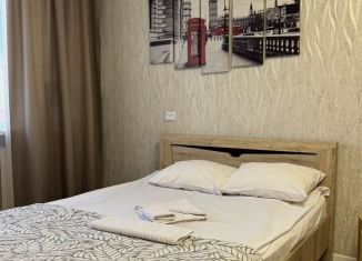 Сдача в аренду однокомнатной квартиры, 30 м2, Курчатов, Ленинградская улица, 1