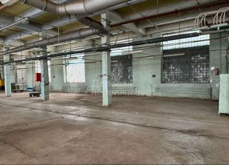 Аренда производства, 1500 м2, Новгородская область, Великая улица, 22с10