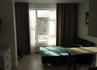 Аренда квартиры студии, 30 м2, Мурино, улица Шоссе в Лаврики, 67