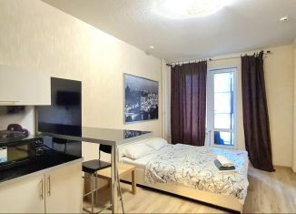 Продаю квартиру студию, 24.6 м2, Санкт-Петербург, Пулковское шоссе, 14Е, Пулковское шоссе