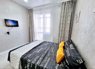 Сдается в аренду 1-комнатная квартира, 35 м2, Республика Башкортостан, улица Ленина, 162/1