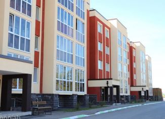Продается квартира студия, 24 м2, село Михайловка, Сливовая улица, 1