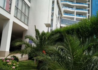 Аренда офиса, 24 м2, Сочи, Курортный проспект, 92/5, микрорайон Бытха