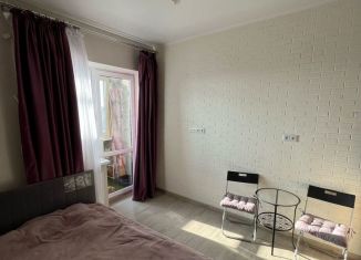 Продаю квартиру студию, 25 м2, Ростов-на-Дону, Доломановский переулок, 128, ЖК Центральный-2