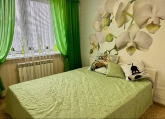 Сдам 1-комнатную квартиру, 30 м2, сельский посёлок Новинки, 2-я Дорожная улица, 29