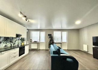 Продается 1-комнатная квартира, 56 м2, Ростов-на-Дону, Нижегородская улица, 31/1, ЖК Тихий Дон