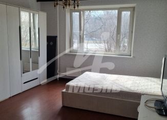 Аренда однокомнатной квартиры, 38 м2, Москва, Салтыковская улица, 29к1, район Новокосино