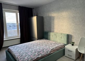 Сдаю квартиру студию, 22.5 м2, Мурманск, Фестивальная улица, 9