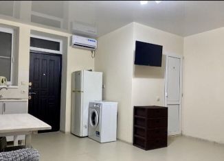 Дом в аренду, 35 м2, село Черешня, Владимировская улица, 17/1