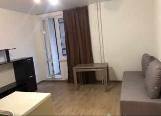 Сдаю в аренду квартиру студию, 26 м2, Ленинградская область, Голландская улица, 5