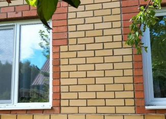 Дом в аренду, 100 м2, деревня Шалангуш, улица Шалангуш