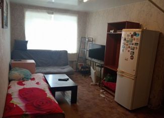 Сдается в аренду 2-комнатная квартира, 39.2 м2, сельский посёлок Новинки, Центральная улица, 14