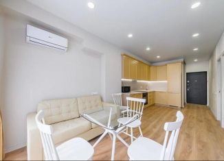 Сдается в аренду 2-ком. квартира, 45 м2, Сочи, переулок Горького, 24к1, микрорайон Центральный