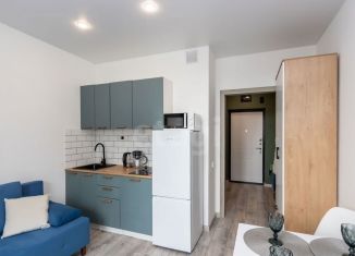 Продам квартиру студию, 19 м2, деревня Дударева, улица Сергея Джанбровского, 5