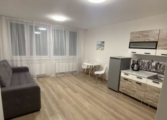 Квартира в аренду студия, 28 м2, Екатеринбург, улица Чемпионов, 15