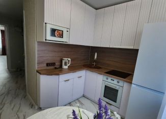 3-комнатная квартира в аренду, 60 м2, Благовещенск, улица Братьев Першиных, 3