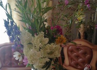 Земельный участок на продажу, 75 сот., Рудня, улица Победы, 23