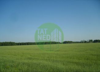 Продаю участок, 10 сот., деревня Тангачи, улица С. Сайдашева, 4