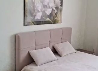 Сдаю 2-комнатную квартиру, 60 м2, Пушкин, Сапёрная улица, 55к2с4, ЖК Инкери