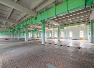 Сдача в аренду офиса, 800 м2, Чехов, Береговая улица, 31