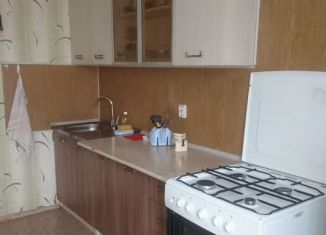 Сдача в аренду 1-комнатной квартиры, 40 м2, посёлок Шушары, территория Ленсоветовский, 25