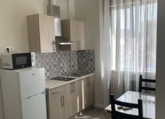 Сдается квартира студия, 27 м2, Сочи, улица Щорса, 6