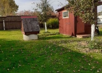 Сдаю дом, 50 м2, деревня Рог, 28Н-0600