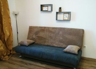 Сдается в аренду квартира студия, 25 м2, Мурино, Охтинская аллея, 14, ЖК Мой Город