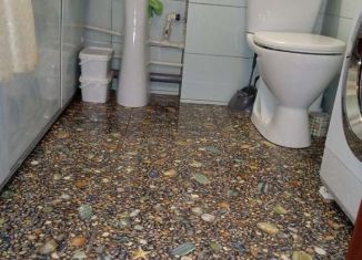 Продажа квартиры студии, 25 м2, деревня Хохряки, Тепличная улица, 32