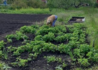 Продажа дачи, 40 м2, Балашов, улица Энтузиастов