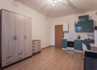 Сдам в аренду квартиру студию, 27 м2, деревня Новое Девяткино, Капральская улица, 15, ЖК Озёрный