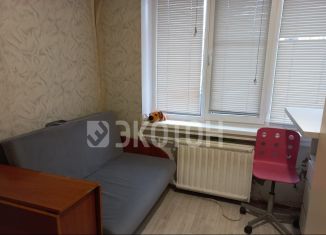 Квартира в аренду студия, 20 м2, Санкт-Петербург, Товарищеский проспект, 6к3, муниципальный округ Оккервиль