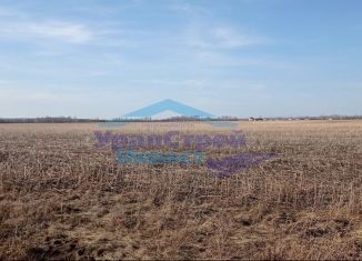 Продается земельный участок, 10 сот., деревня Старые Чути