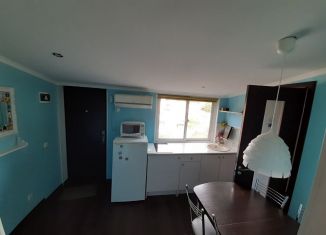 1-ком. квартира в аренду, 26 м2, село Раздольное, Прямая улица, 4