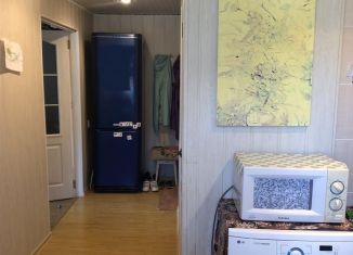 Сдается 1-комнатная квартира, 51 м2, посёлок городского типа Куйбышево, Родниковая улица, 49