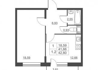 Продается 1-ком. квартира, 42.8 м2, городской посёлок имени Свердлова, ЖК Невские Панорамы